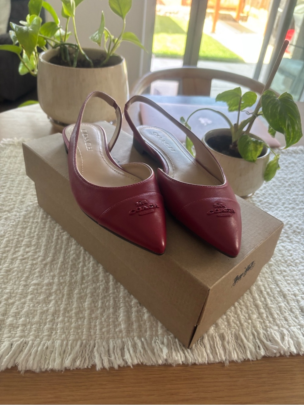 Coach Women's Burgundy Leather Pointed-Toe Slingback Flats